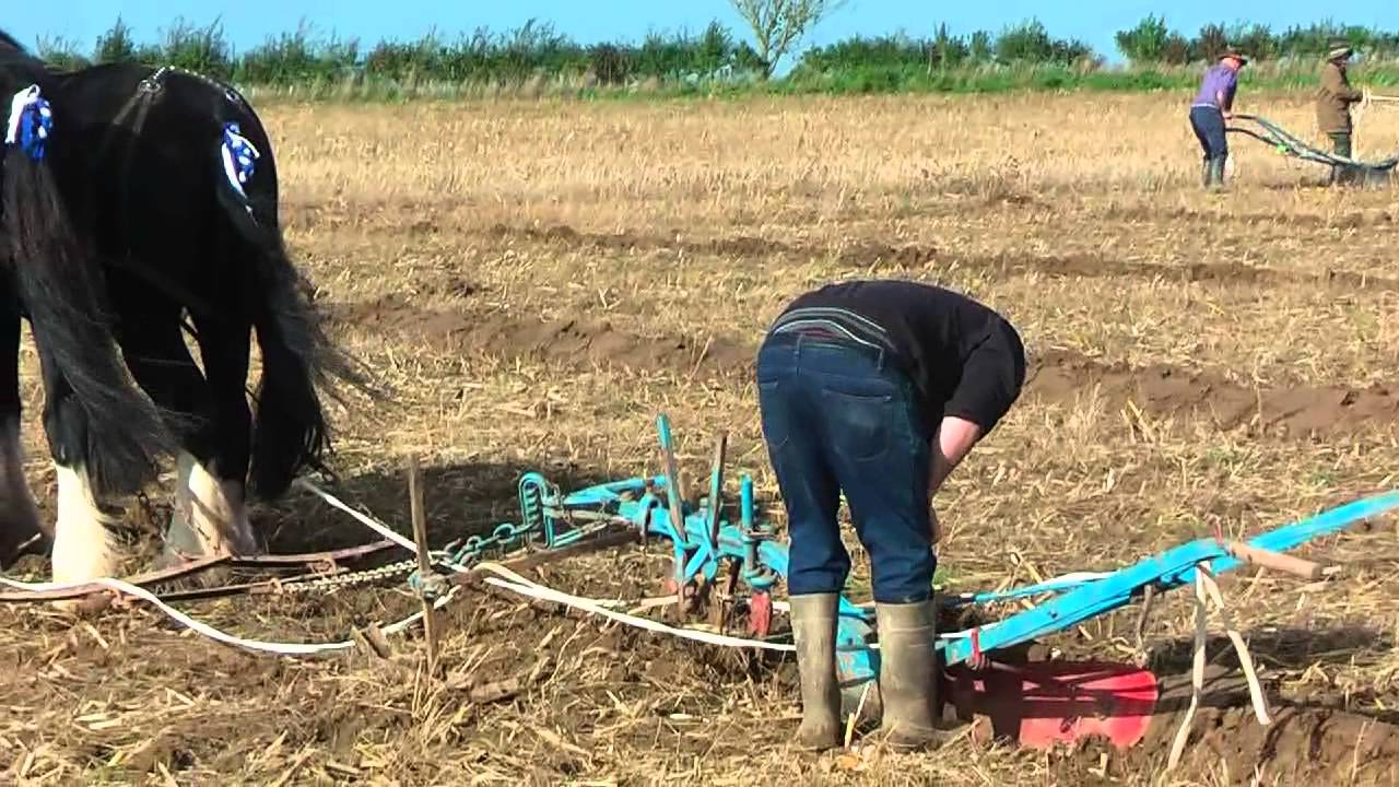 Western Counties Ploughing match