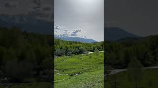 1 февраля 2025 г.