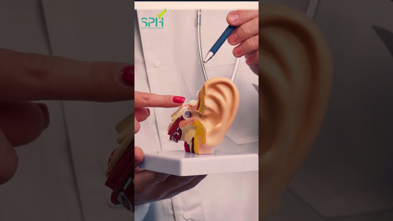 باسێک دەربارەی جوڵانی کریستاڵی گوێی ناوەوە لە لایەن د.(بەهمەن حمە شریف) پزیشکی بیستن و گێژبوون