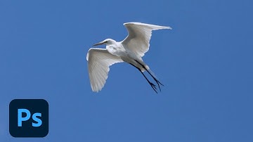 How to Fix Photos with Photoshop