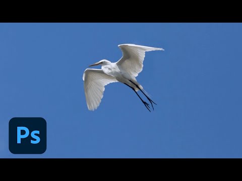 How to Fix Photos with Photoshop&#s Content-Aware | Adobe Creative Cloud