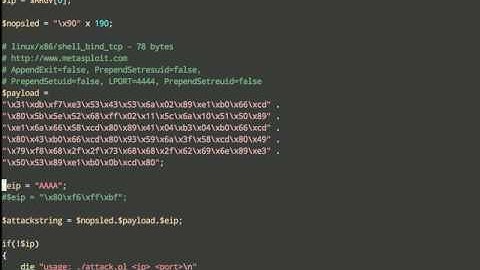 CSCI2850: 5 Minute Exploit in Perl