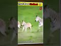 #quagga