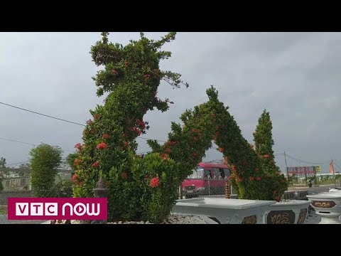 #1 Làm cây cảnh thú bông độc đáo từ hoa mẫu đơn Mới Nhất 2 #1 Làm cây cảnh thú bông độc đáo từ hoa mẫu đơn Mới Nhất