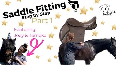 Part 1 - SADDLE FITTING Step by Step with The Saddle Bank.