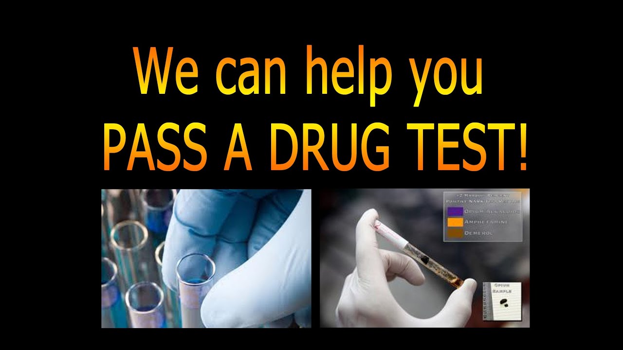 a hair drug test