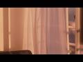 Ayatake Ezaki - Hakubo (Official Music Video)