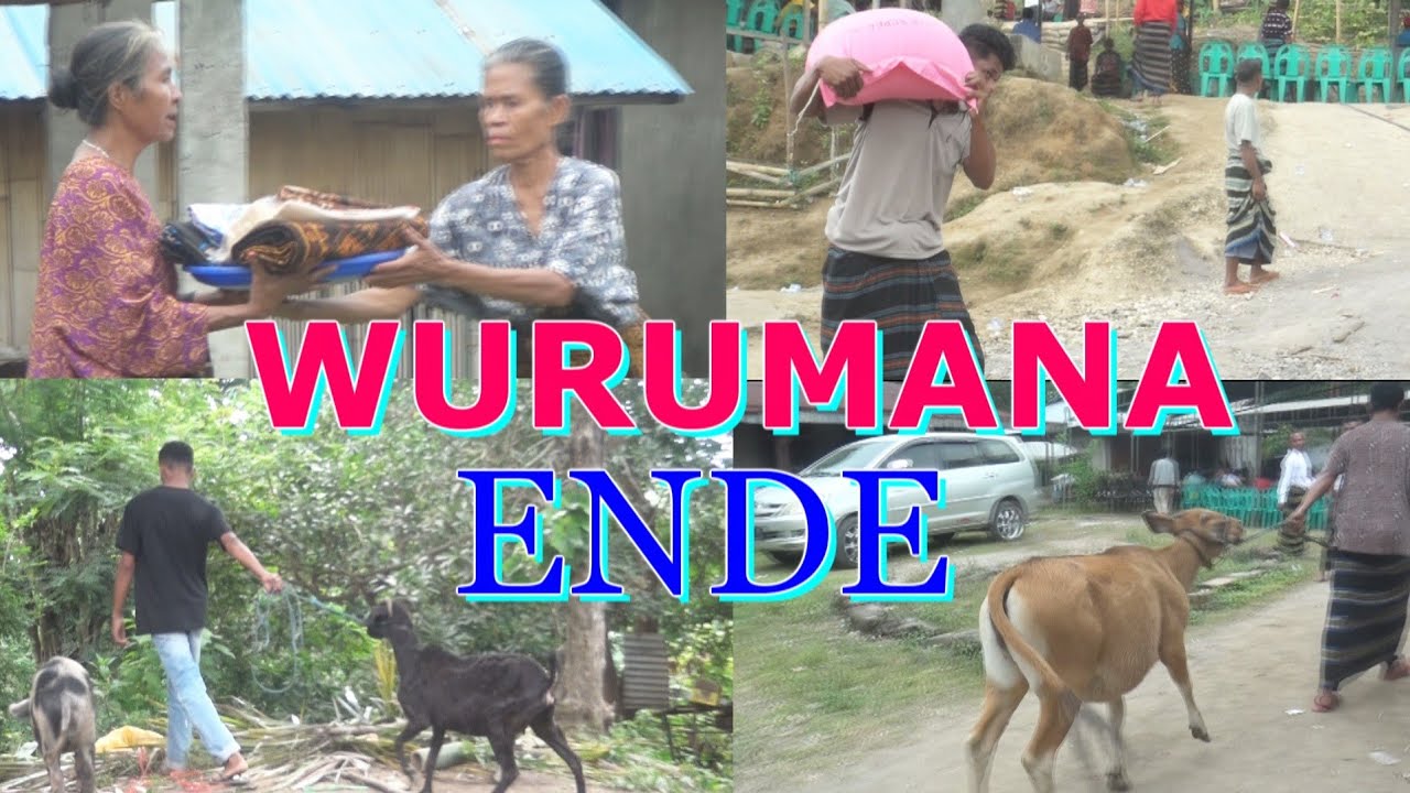 ACARA WURUMANA (IKATAN KEKELUARGAAN) ENDE