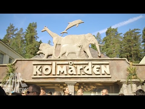 [Doku] Kolmården Djurpark - Park Check
