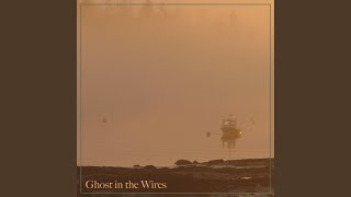 Ghost in the Wires