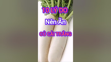 10 Lý Do Nên Ăn Củ Cải Trắng Thường Xuyên #dinhduong #health #suckhoe