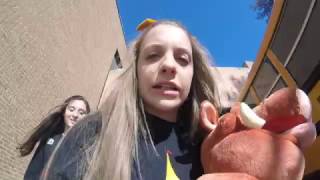 VHS National Cheer Competition 2017