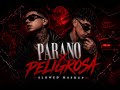PARANO X PELIGROSA SLOWED 