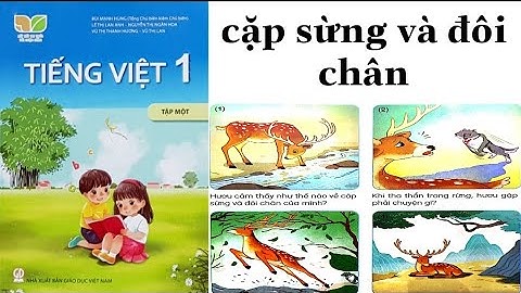 KẾT NỐI TRI THỨC | CẶP SỪNG VÀ ĐÔI CHÂN | Kể chuyện | Tiếng Việt Lớp 1 | Bài 80