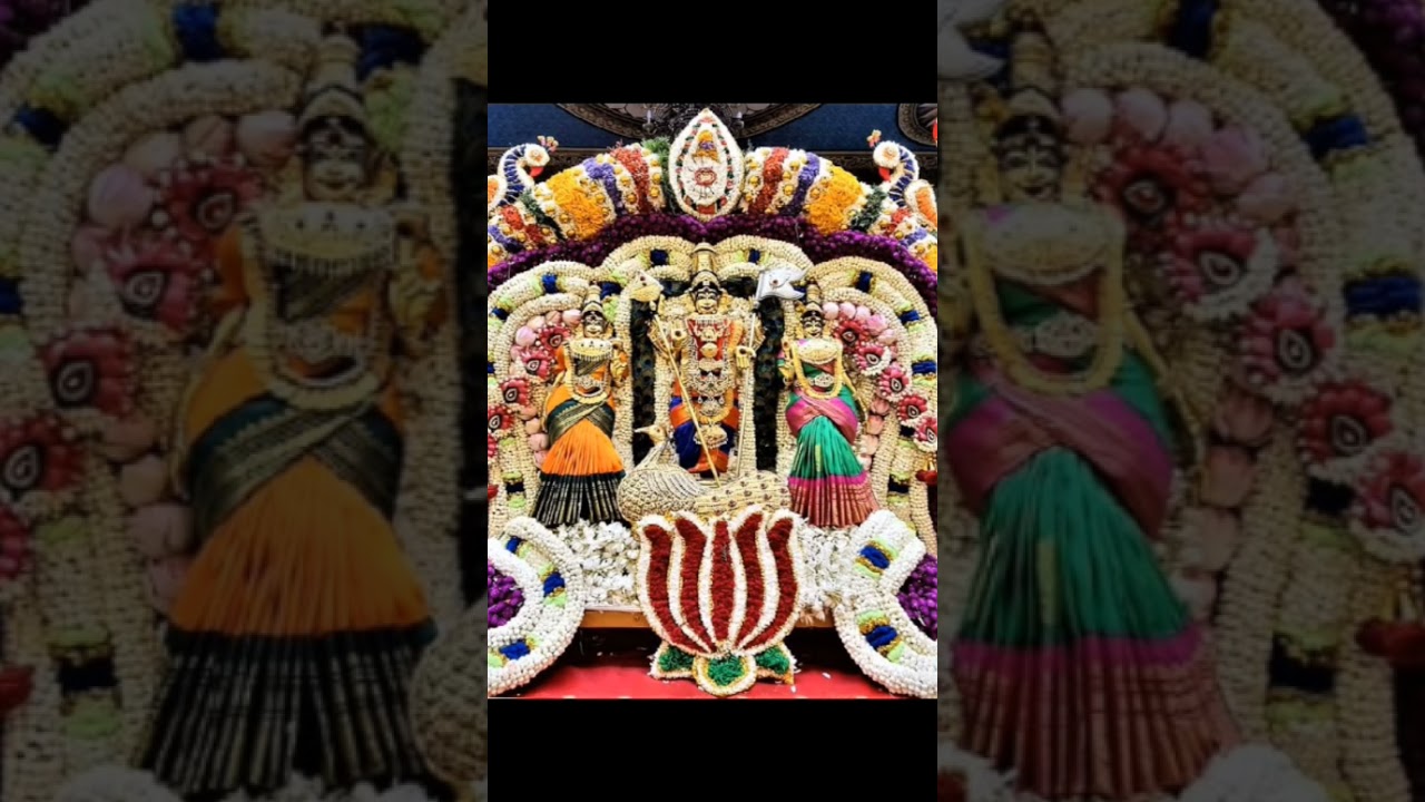 🪔🌼🙏ஓம்முருகா