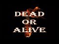 Bon Jovi - Dead or Alive (cover)