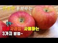 간단하고 맛있는 사과요리 3가지~ 사과치즈롤, 사과 도너츠, 사과 파이, 3 kinds of apple cooking, korea food recipe [강쉪]