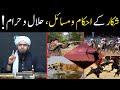 Shikaar ke ahkam o masail  shikar in islam  halal or haram   by engineer muhammad ali mirza 