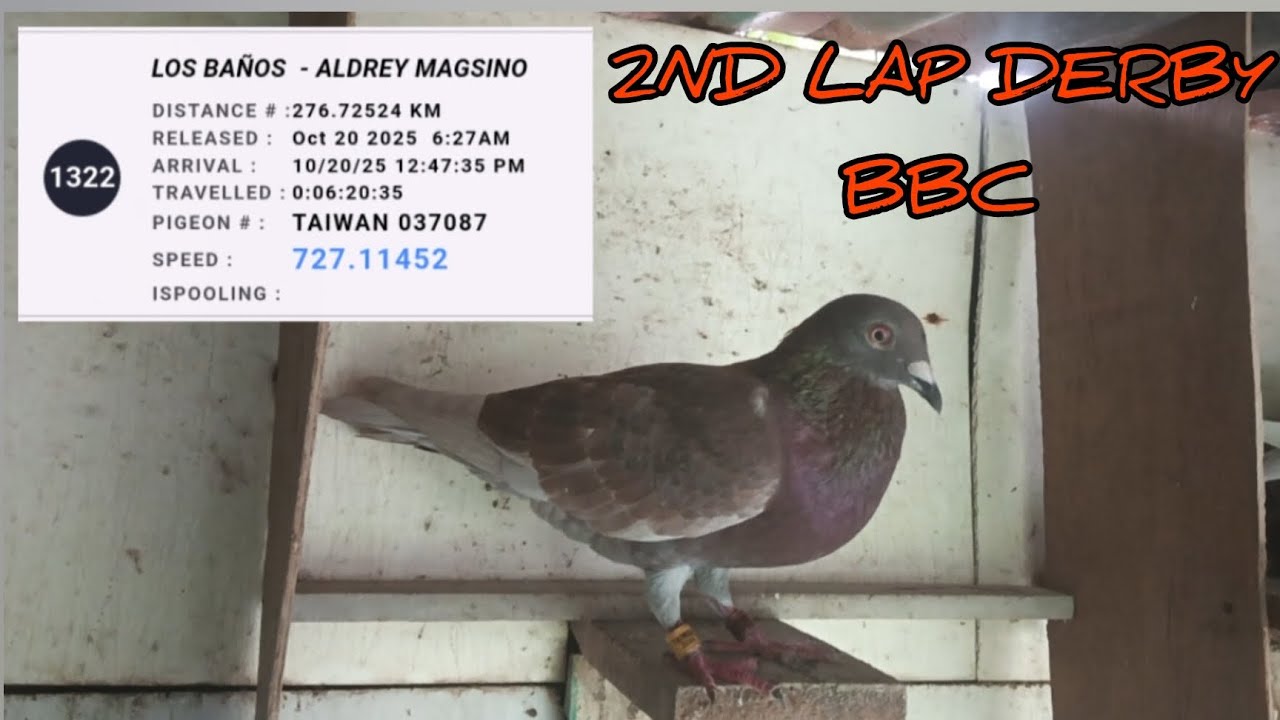 BBC 2ND LAP DERBY NORTH RACE 2025