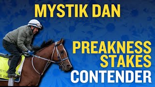 Preakness Stakes Contender: Mystik Dan