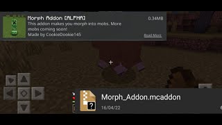 Halo Kita akan Bagi addon morph Alpha nih!!🤩 Wealth