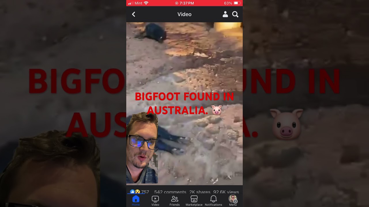 Bigfoot Found in Australia 🐷