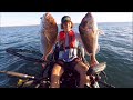 MONSTER Snapper | Inshore Kayak Fishing!