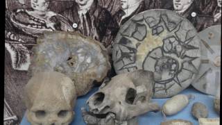 Famous 5 Incredibly Eccentric People Profile