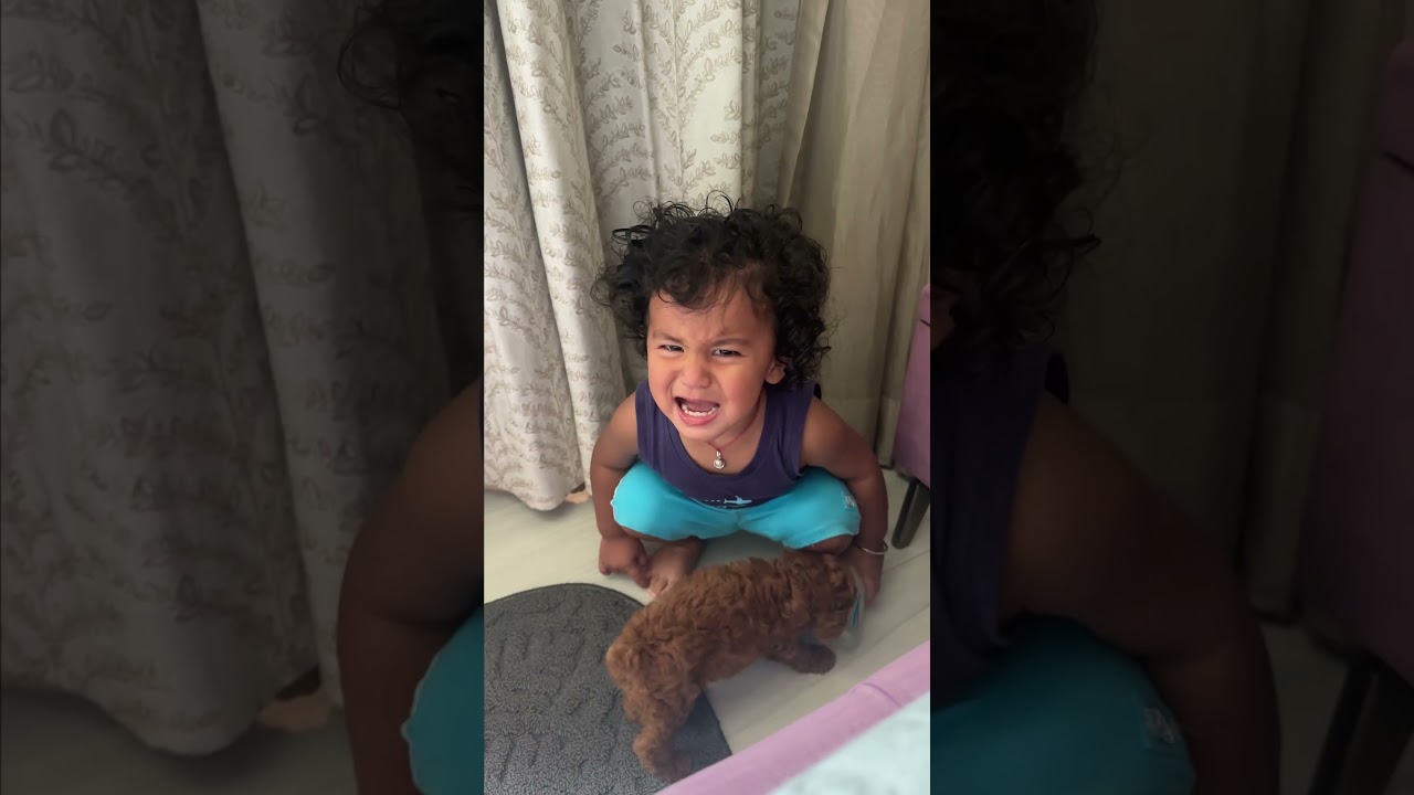 Golle Aur Bhure Ki Masti 🐾| Bharti Singh | Haarsh Limbachiyaa | Golla