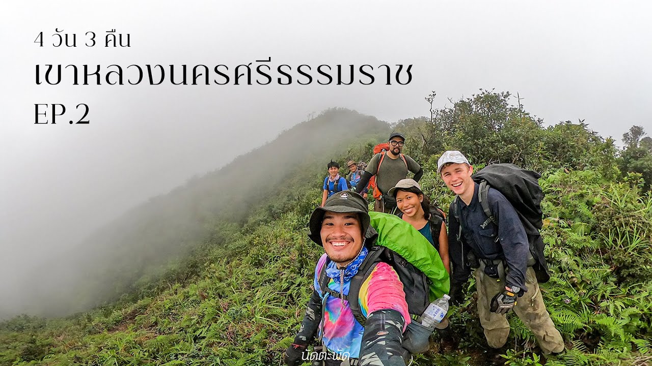 สไลเดอร์ดินลอดอุโมงต้นไม้ที่ 