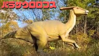 古生物紹介】パラサウロロフス - YouTube