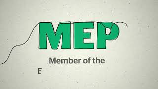 The European Parliament Explained