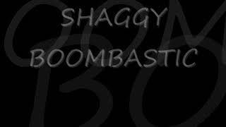 Shaggy Say Shaggy in Boombastic!