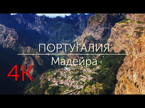 Vídeo: Madeira Entre Vidro