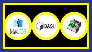 Using the Terminal keybindings with bash on macOS