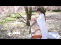 纯筝《不染》Unsullied | Guzheng | with the beautiful cherry blossom in Germany ( KIT Campus Süd)