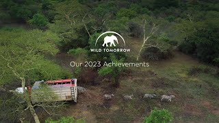 Download Lagu Wild Tomorrow Achievements 2023 MP3 Download Lagu Wild Tomorrow Achievements 2023 MP3