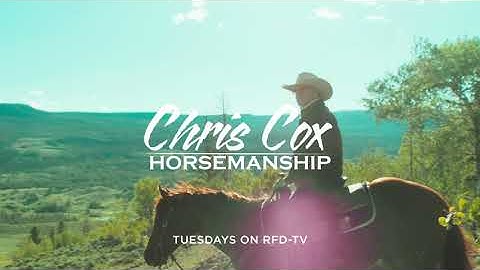 Welcome to Chris Cox Horsemanship