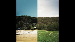 Albrecht La'Brooy — Tidal River/Healesville (Full albums/2018—2019) • Ambient