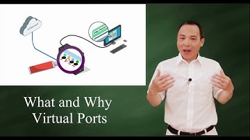 What and why virtual ports (port address)?