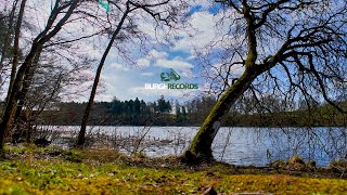 Nature Sounds Spring - Vlog Sound Effects