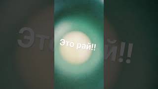 ТАМ РАЙ! #Р #Е #К #О #М #Е #Н #Д #А #Ц #Ы #Й #ХОЧУВРЕК