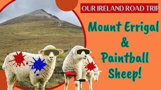 Mount Errigal and 