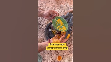 जीवन बदल जाएगा आपका भी यें काम करदो🕉️🚩 #panditpradipmishra #mahadev #trending #shorts
