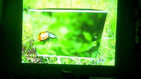 Compiz Fusion on a Projector