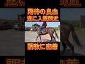【個人馬主】期待の良血馬 入厩間近の調教に密着!【競馬】#競馬 #地方馬主
