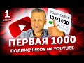 Как набрать первую 1000 подписчиков на YouTube. 195/1000