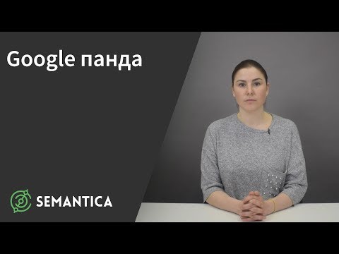 Google панда: что это такое и зачем он нужен | SEMANTICA