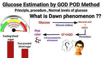 Glusose estimation by GOD POD method , principle, procedure  || What is Dawn phenomenon ?