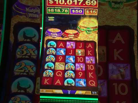 RUEDA DE CASINO, SALSA - Los Angeles, aug 2016
